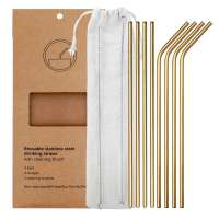 Set of 8 Stainless Steel Straws Reusable Drinking Metal Straw Sets with Brush and Bag